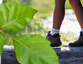 woman hiking in poison ivy